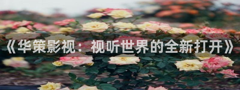 神马电影生活中的玛丽
