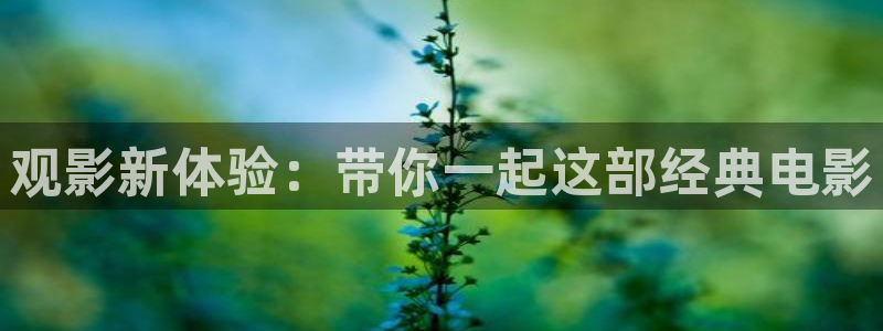 神马电影达达兔在线我不卡