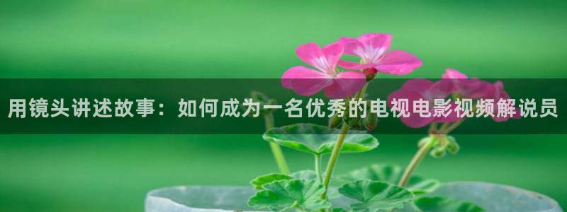 神马电影网色戒