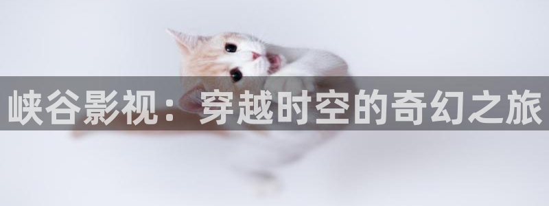 神马午夜影院看电影