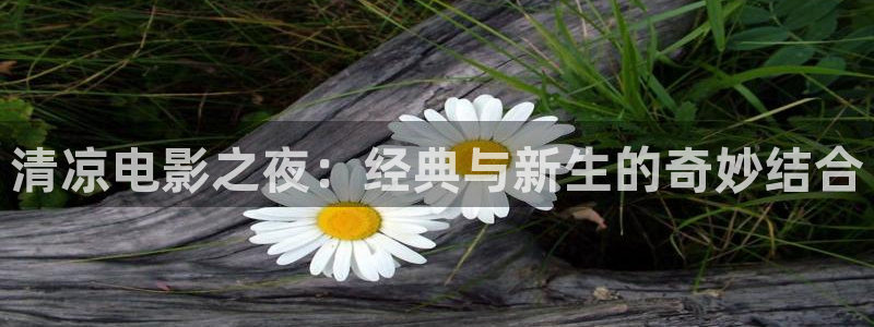 原来神马影院免费