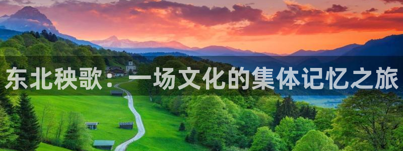 神马飘花电影