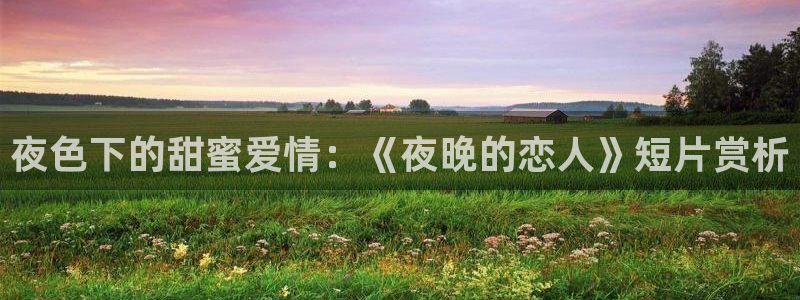 神马伦理在线免费观看