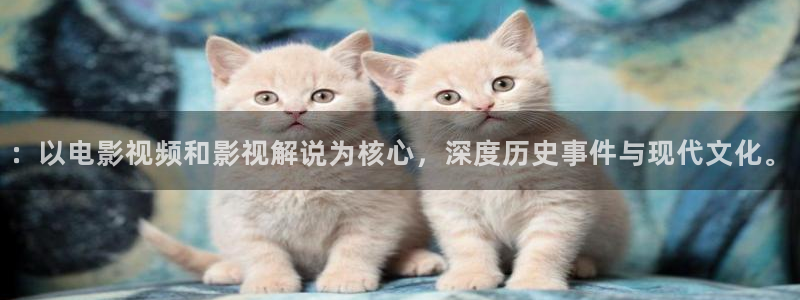 免费神马影院