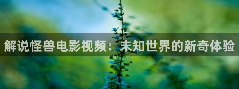 和神马影院
