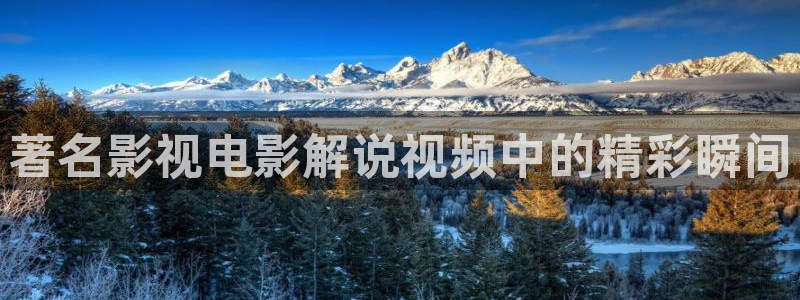 神马三级手机我不卡