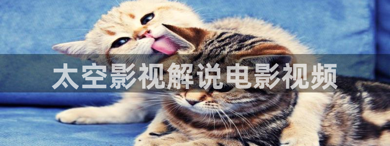神马影院成人影院