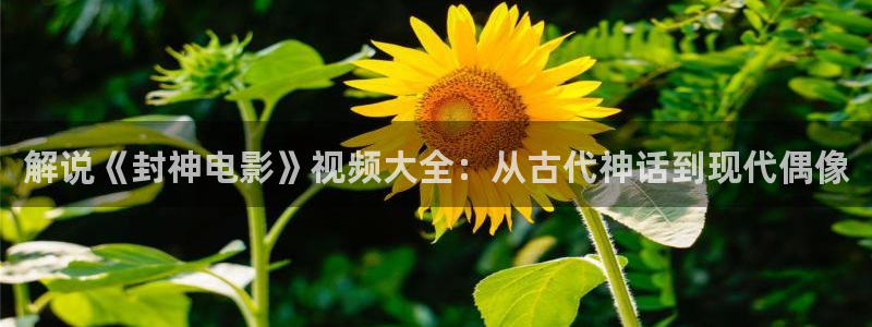 神马新电影
