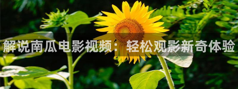 神马电影院特片网