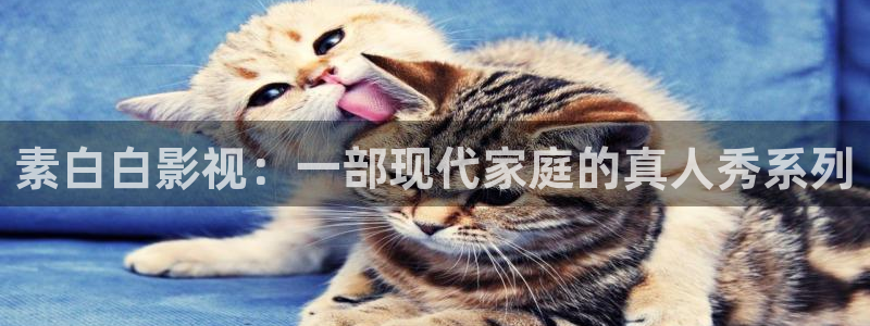 原来神马电影免费网